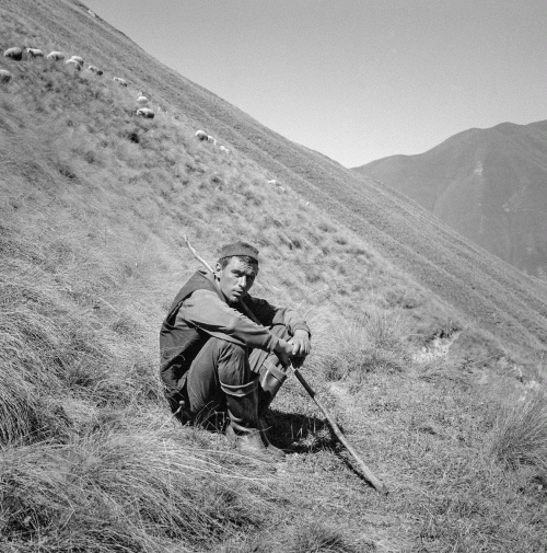 All We Expected : Hatàr